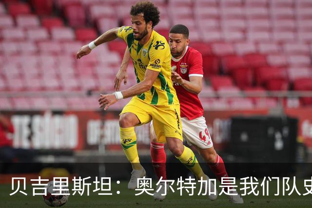 贝吉里斯坦：奥尔特加是我们队史最好二门
